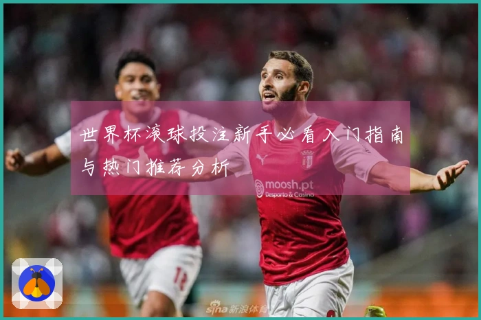 世界杯滚球投注新手必看入门指南与热门推荐分析
