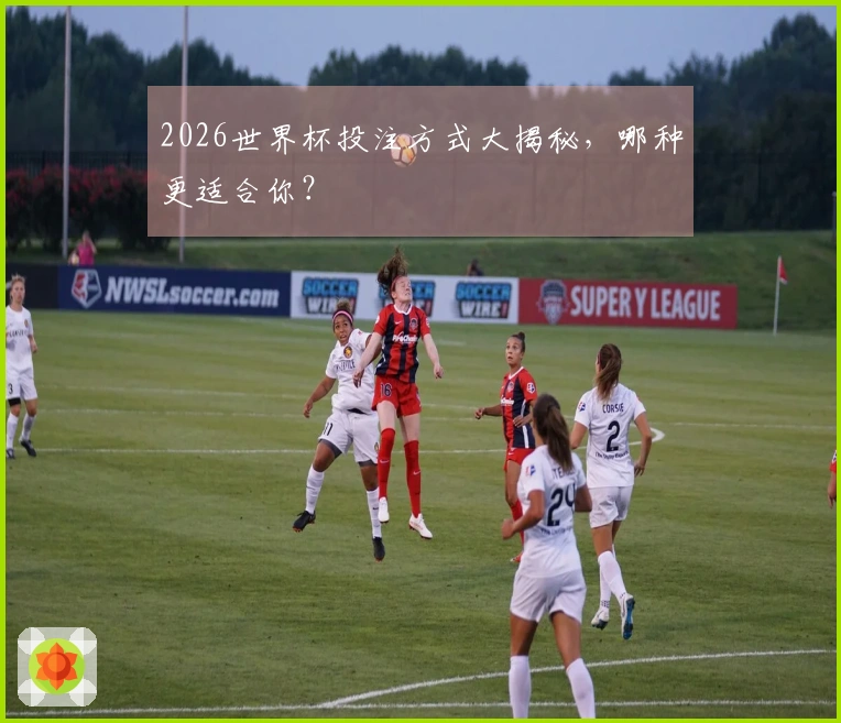 2026世界杯投注方式大揭秘，哪种更适合你？