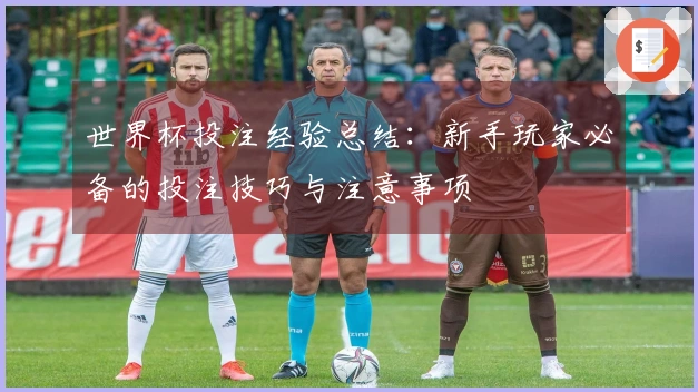 世界杯投注经验总结：新手玩家必备的投注技巧与注意事项