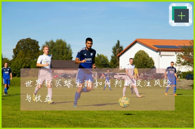 世界杯买球竞猜如何判断投注风险与收益