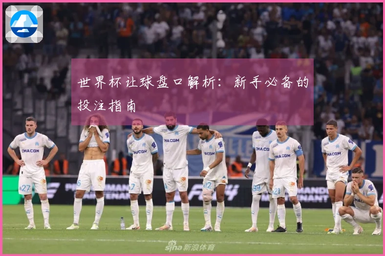 世界杯让球盘口解析：新手必备的投注指南