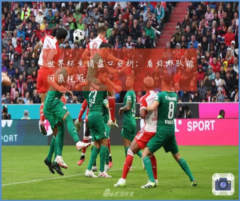 世界杯竞猜盘口分析：看好哪队能问鼎桂冠