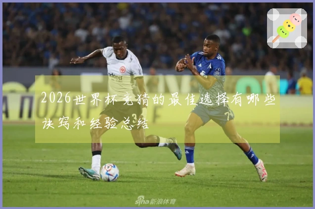 2026世界杯竞猜的最佳选择有哪些诀窍和经验总结