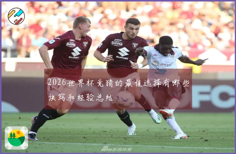 2026世界杯竞猜的最佳选择有哪些诀窍和经验总结