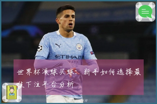 世界杯滚球买球：新手如何选择最佳下注平台分析