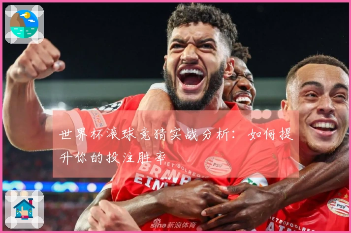 世界杯滚球竞猜实战分析：如何提升你的投注胜率